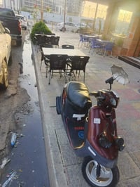 بوتين • معمر • نظيف ٧٥/١٠٠