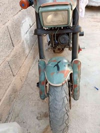 ياماها • بدون اوراق • ميسان الميمونه