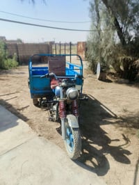 ستوته صقر 2019 للبيع 07827742008