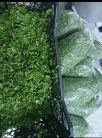 سبيناغ • مغسول ومثروم • جاهز للتجفيف