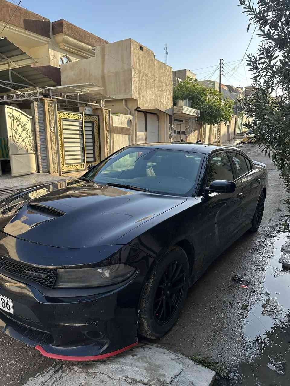 السلام عليكم جارجر 2020GTبلاك توب ماشيا 100mi
كير مكينه اكسن شرط رقم اربيل تحويل ثاني يوم طخم تايه حداديه صدر جديد ماتصرف دينار عليها تبريد جديد السياره حادثها جاملغ خلفي من امريكا بل عراق صاربيها حادث وبيها تعديل بلفخذ الايمن ابيع احزام 
سعر 165وبيهت مجال بسيط مكاني موصل الايمن *********** مامتواجد ع فيس شراي خبر وتعال شوفها ومايكون خاطرك الا طيب
