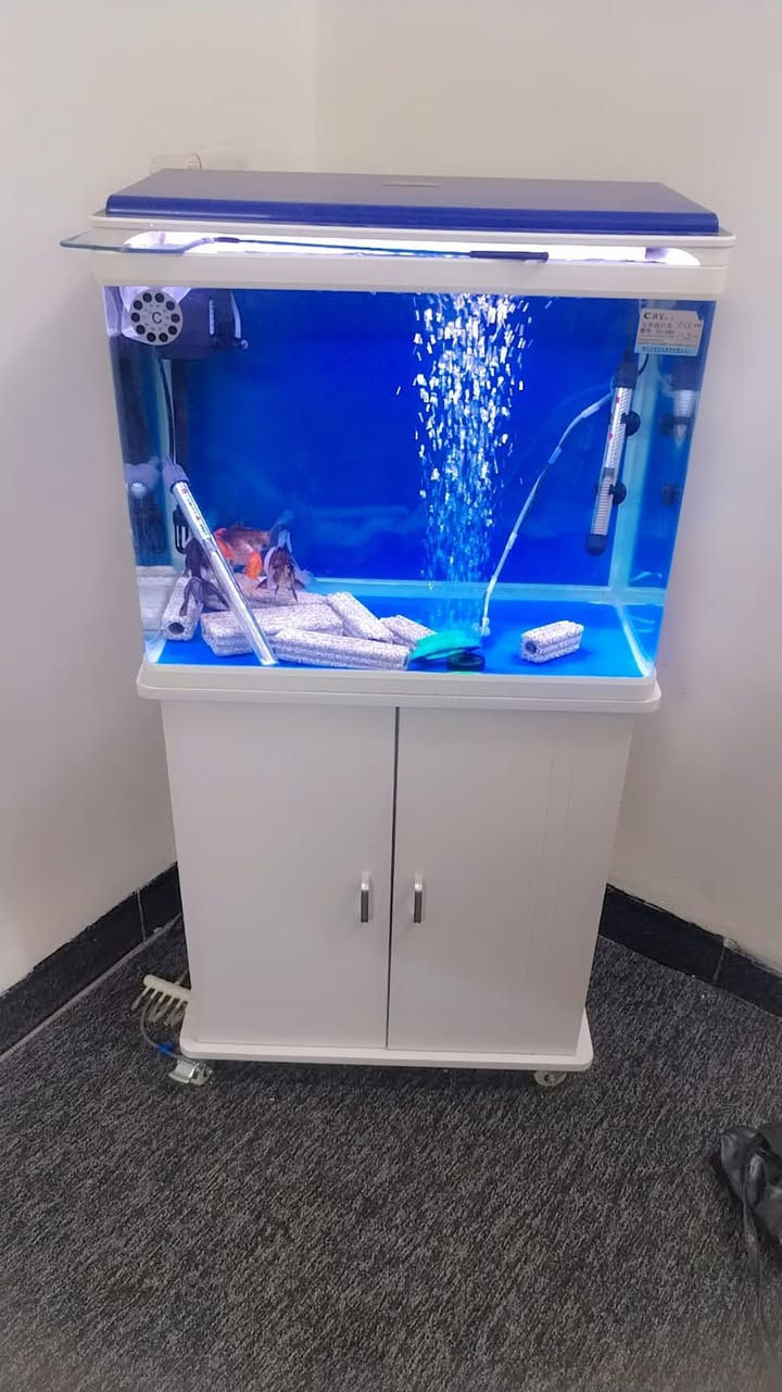 ارتفاع الحوض 49
نزال الحوض32
عرض الحوض59
ارتفاع الحوض مع الميز102
فلتر سقفي
انارة لد بلادية لونين

نظاقة 98 ب100
سعرة قفل 150


**إذا كنت صاحب هذا الإعلان وتريد حذفه لأي سبب، رجاءا أرسل رسالة إلى الدعم الفني**