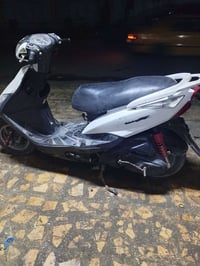 ثعلب • طافية • اصلية