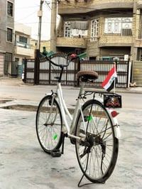 نظيف • شامون • الغزالية الهياكل