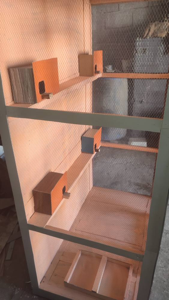 قفص للبيع السعر 70 الف مكاني الرمادي *********** الرمادي, الأنبار
