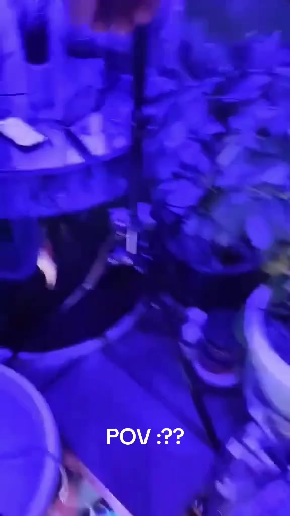 السلام عليكم متابعينا 🤍.
انارة مخصصة لتحفيز نمو النباتات الداخلية 🪴🪴🌷
 
اللون الاحمر يساهم في تعزيز النموا الطبيعي والازدهار🌷🌷🌼🌼

الازرق يساعد على نموا الجذور والاوراق وتوفير الكلوروفيل🪴🪴🍀🍀

الاحمر & الازرق معاً يخرج لون بنفسجي
وهو يساعد ويسرع في النموا الطبيعي الكامل للنبات 🌲🌲🌳☘️🍀🍀🍄

ملاحظة مهمة ( كل قطعة  تحتوي على جهاز تحكم عن بعد ريمونت كونترول وكذلك محولة خاصة بالجهاز )
ثنائية قراصة ريمونت كونترول 15 الف 
ثلاثية ريمونت كونترول مع ستناد20الف 
رباعية ريمونت كونترول مع ستاند 25 الف 
🍀🍀🍀☘️🌳🌳🌳🌲🪴🪴🍄🍄🌷🌷

📍 متوفر توصيل لجميع محافظات العراق 🚗 🚗 
📍 العنوان:بابل/ محاويل.
📍 للحجز والاستفسار يرجى مراسله الصفحه او مراسلتنا على واتساب من خلال الرقم:
***********
