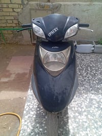 سبيسي • هنديه • للبيع