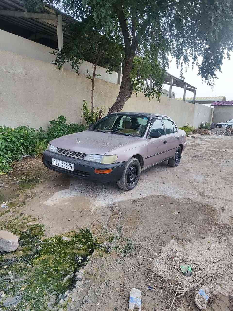 سلام عليكم كورلا موديل 93امريكي ايسر ابلاد تبريد ثلج محرك كير حداديه أمامي خلفي كله بشرط غرفه نضيفه جدا دشبول بطاين سياره اعتماديه الكشر صبغ عام اثر جراد بس صبغته مو تمام  ضربته من أمريكا جاملغ خلف لعبري ماواصله  فقط بالجاملغ سياره عليه أدامه كامله متصرف ربع عليه  السعر 55 بيه مجال كلش بسيط  بأسمي تحويل مباشر بغداد مدينة الصدر
***********
سلام عليكم كورلا موديل 93امريكي ايسر ابلاد محرك كير حداديه أمامي خلفي كله بشرط غرفه نضيفه جدا دشبول بطاين سياره اعتماديه الكشر صبغ عام اثر جراد بس صبغته مو تمام  ضربته من أمريكا جاملغ خلف لعبري ماواصله  فقط بالجاملغ سياره عليه أدامه كامله متصرف ربع عليه  السعر 55 بيه مجال كلش بسيط  بأسمي تحويل مباشر بغداد مدينة الصدر

***********
