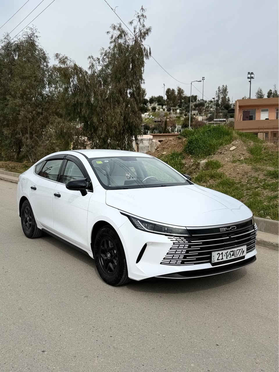 بیوایدی دیسترۆی ٢٠٢٥
٣٣٠٠ کم ڕۆشتووە 
ڕەقەم سلێمانی 
دەعامی بۆ دەعامی بە شەرت 
سعری ١٢٨ گەڵا 
***********
سلێمانی السليمانية, العراق
