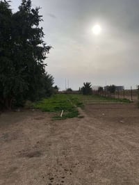 نص دونم • حي لبتول • مياه وكهرباء