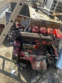 مولد دايو • بابل