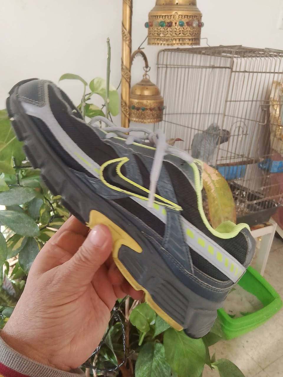 NIKE INITIATOR 
saiz.40/5
25/5cm
viatnam
للحجز والاستفسار راسلنا واتس اب وماسنجر عله الرقم الموجود*********** ابو أيمن
توجد خدمة توصيل كل المحافظات
