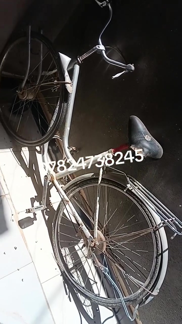 بايسكل للبيع سعره 45


**إذا كنت صاحب هذا الإعلان وتريد حذفه لأي سبب، رجاءا أرسل رسالة إلى الدعم الفني**