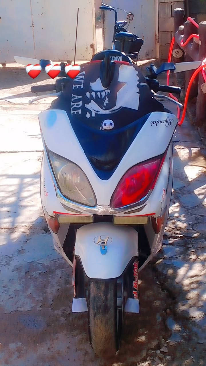 دراجة فورزة 80 محرك نضيف كهربائيات كلهة شغالة بس بصمة فاقدة برمجة اشغل طوارى أوراق بيهة مرتبة رايدهة 500الف قفل ابيع كوم حديد


**إذا كنت صاحب هذا الإعلان وتريد حذفه لأي سبب، رجاءا أرسل رسالة إلى الدعم الفني**