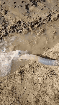 مكتب حفر الابار الأرتوازيه
‏‪***********
يعلن عن حفر الابار بكافة الاحجام
غسل وتنشيف الابار 
حفر الركائز
حفر النقاط 
حفر وفحص التربه
وعمل كافه المقاولات العامه
نعمل في كافه محافضات العراق
دقه في العمل وسرعه في الانجاز

للاستفسار الاتصال على الارقام
