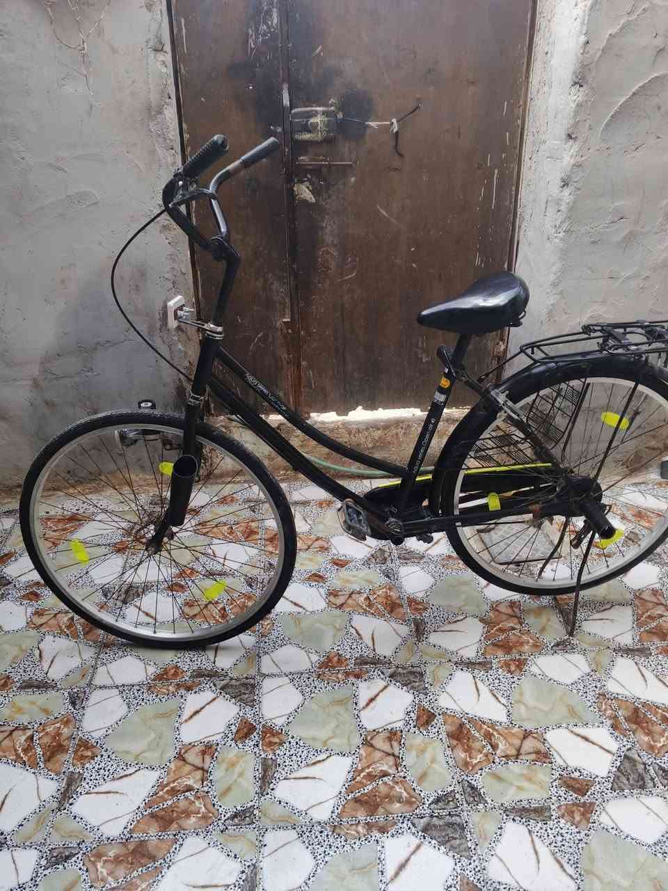 باسكل للبيع الديوانية قضاء الشاميه السعر 80او بي مجال قليل


**إذا كنت صاحب هذا الإعلان وتريد حذفه لأي سبب، رجاءا أرسل رسالة إلى الدعم الفني**