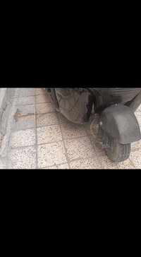 تكتك 19شهر 12مثل ما واضح بل مقطع كفاله عامه رقم نكليزي  جيب فيتر وتعال...