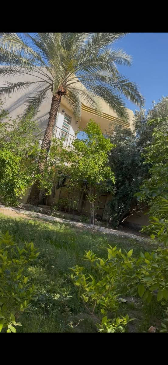بسبب الوعود الكذابه نعرض هذا البيت للبيع وبسعر مناسب

السلام عليكم
دار للبيع بناء حديث مساحه 730 واجهه 17 نزال 43 يحتوي حديقه اماميه استقبال و هول و ثلاثه غرف نوم مع مطبخ حار و بارد و حمام شرقي غربي ويحتوي على حديقه خلفيه 
كربلاء المقدسه شارع بغداد مقابيل مدينه سيد الاوصياء قرب الشارع العام عامود 129 يصلح للسكن او حسينيه خدمات كامله تبليط ماء كهرباء
‏ اللاستفسار 
***********واتساب 
***********
