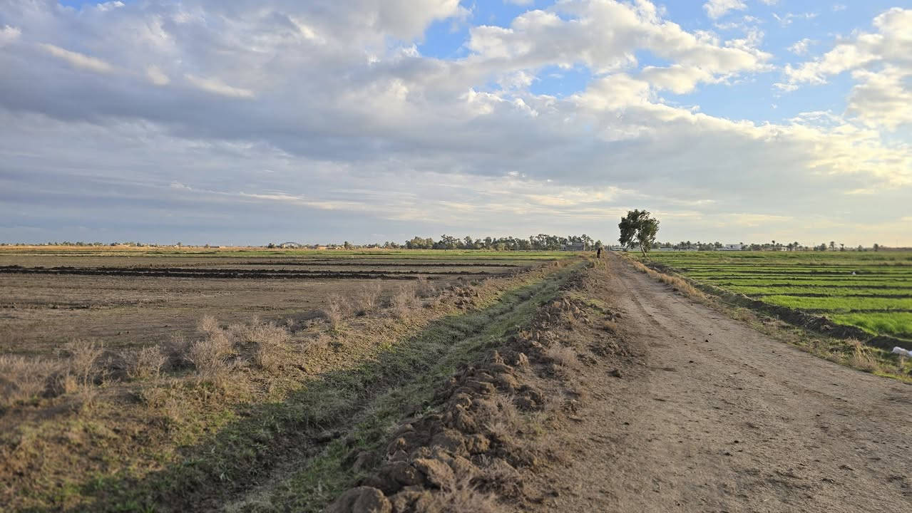 انته صحاب استثمار او تريد تترفه
وصلت عند الشخص الصح جايبلك 5 دوانم وتباع مفرد حسب الطلب موقعهه مرتب ومخدوم من كل النواحي ماء وكهرباء وصب اروائي ومزارع وخضار وسكن طابو سند 25 فتح بيان بأسم المشتري حق التصرف 
واجهية الدونم الواحد 40×60 مربع سعر الدونم الواحد 32 مليون وقابل للتفاوض 
العنوان بغداد التاجي ذراع دجله 
للأستفسار ***********
