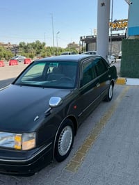 راس الثور • فول ٥ دكم • كمركها مدفوع