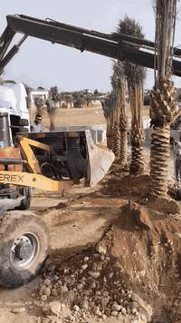 🌴 استثمر في الزراعة الذكية مع أفضل أنواع الفسائل! 🌴 07716155156 هل تطم...