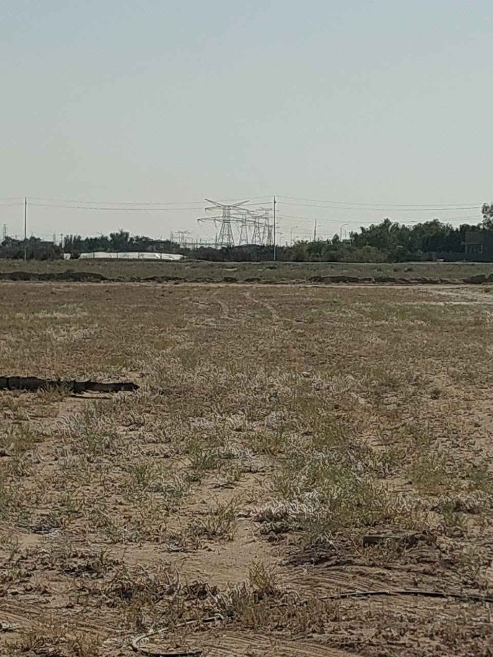 السلام عليكم كاع ٦دوانم عقد ٣٥جديد عمود ٣٩٩ متوفر ماي كهرباء تبعد عن الشارع العام ٨٠٠متر سعر الدونم ١٥مليون الاستفسار ***********
