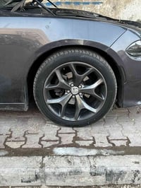 تخم ويل جارجر • مقاس ٢٠