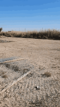 البو صالح • دونم • ٤٠م×٨٠م