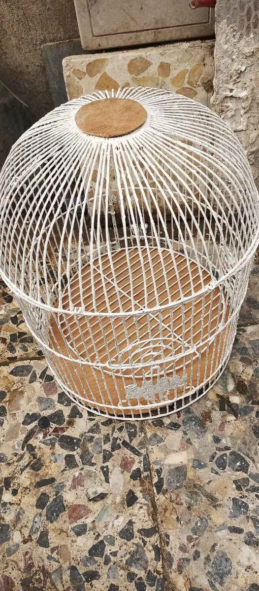 السلام عليكم اقفاص لبيع


**إذا كنت صاحب هذا الإعلان وتريد حذفه لأي سبب، رجاءا أرسل رسالة إلى الدعم الفني**