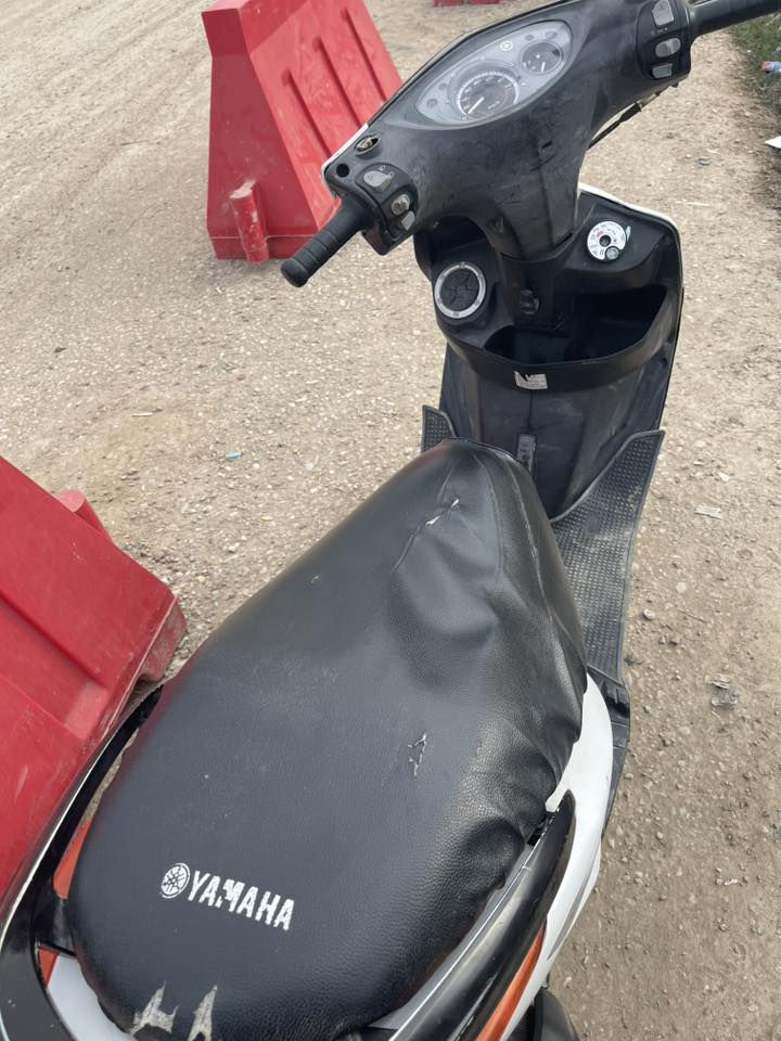 ماكس ثعلب للبيع  ***********
