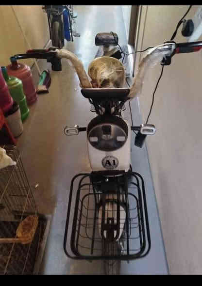 دراجة شحن للبيع حجم14مابيهه اي عطل سعر 300قابل لتفواض
ــــــــــــــــــــــــــــــــــــــــــــــــــــــــــــــــــــــــــ
للستفسار اكثر ***********مامتواجد ماسنجر🔥
