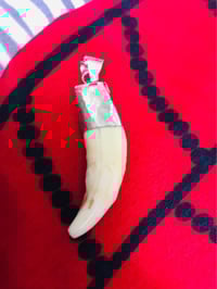 ناب الذيب • اصلي • بغداد