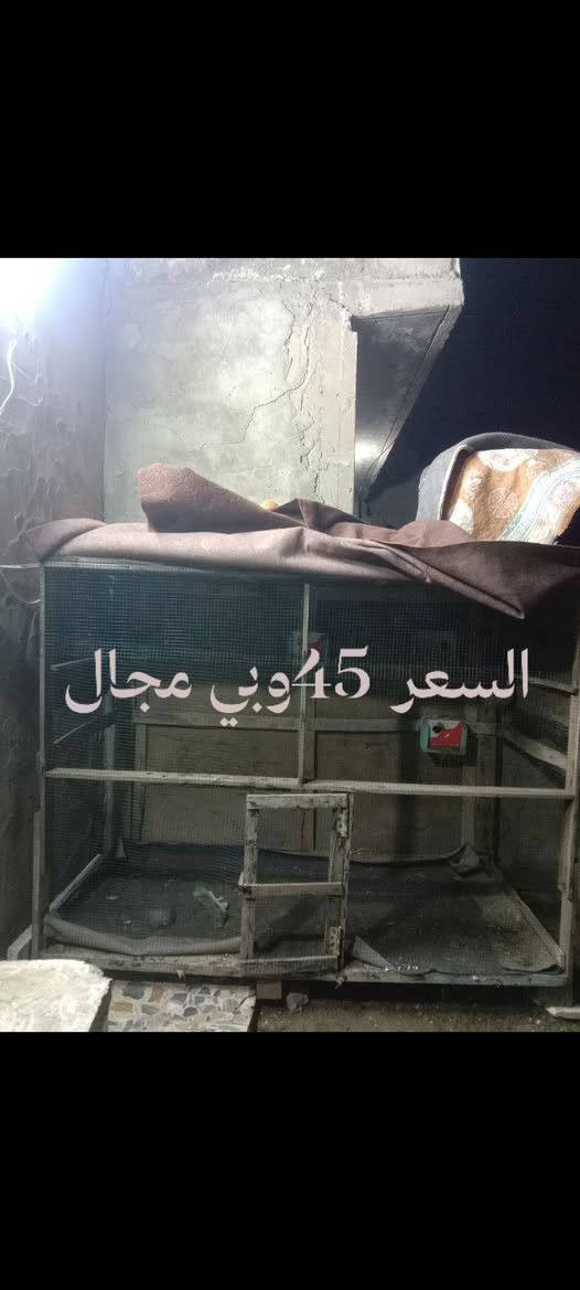 قفص كامل باسيكل بس عايزه عقرب  خاص


**إذا كنت صاحب هذا الإعلان وتريد حذفه لأي سبب، رجاءا أرسل رسالة إلى الدعم الفني**