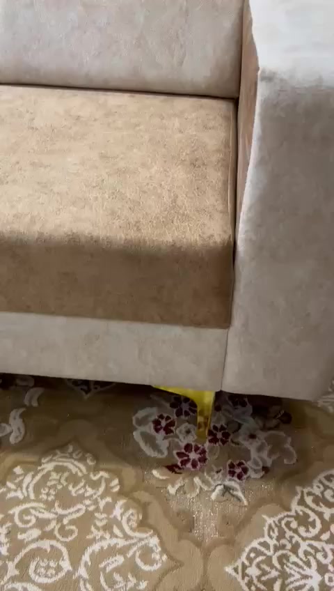 سلام عليكم متابعينه هاذه شغل مالتنه تسكام درجه اولى حسب طلب الزبون ولمديل عنوان المعمل ديوانيه تقيه يم ساحه توديع معمل ومعرض ورده الربيع تسكام جميع انواع التخامه والديوان وقياسات ولدوشمه رقم *********** بي وتساب متواجدين
