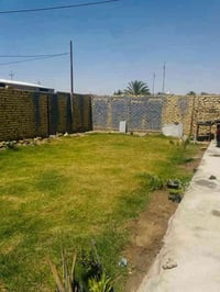 المعاره السجاد • ٥٠٠م • طابو زراعي