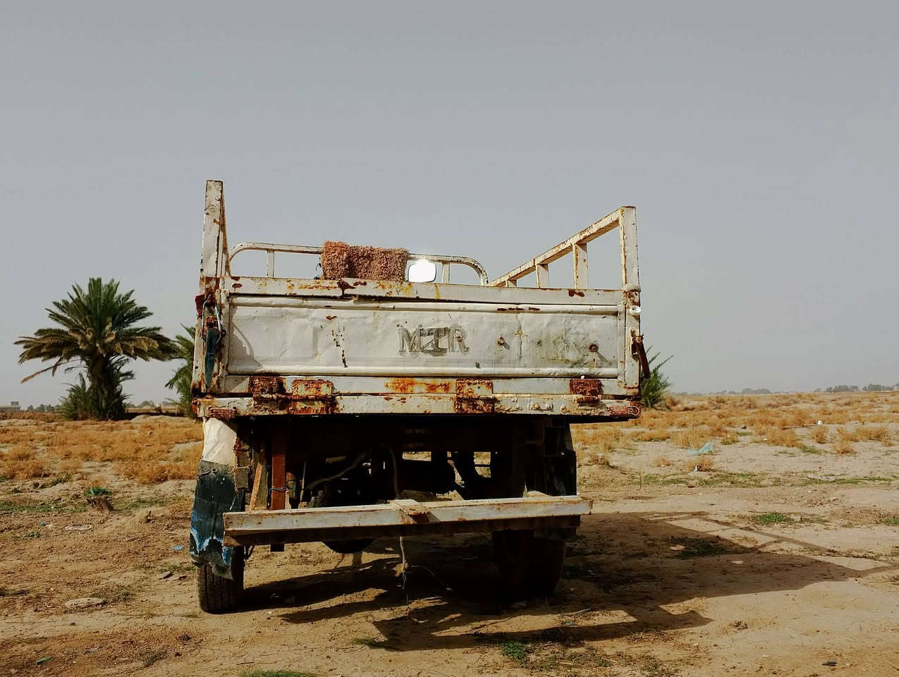 ستوته البيع مكان بابل شوملي رقم ***********
