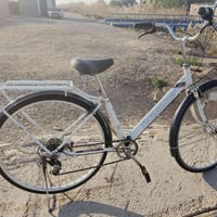 باسكل للبيع • حجم ٢٧ • مكان كوت مزاك