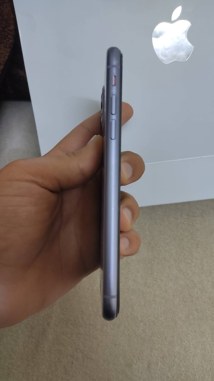 نرخی تەنها (٨٣) دۆلار!
یەک کۆمێنت بکە و هەموو زانیاریەکانت لۆ دەنێرم.


**إذا كنت صاحب هذا الإعلان وتريد حذفه لأي سبب، رجاءا أرسل رسالة إلى الدعم الفني**