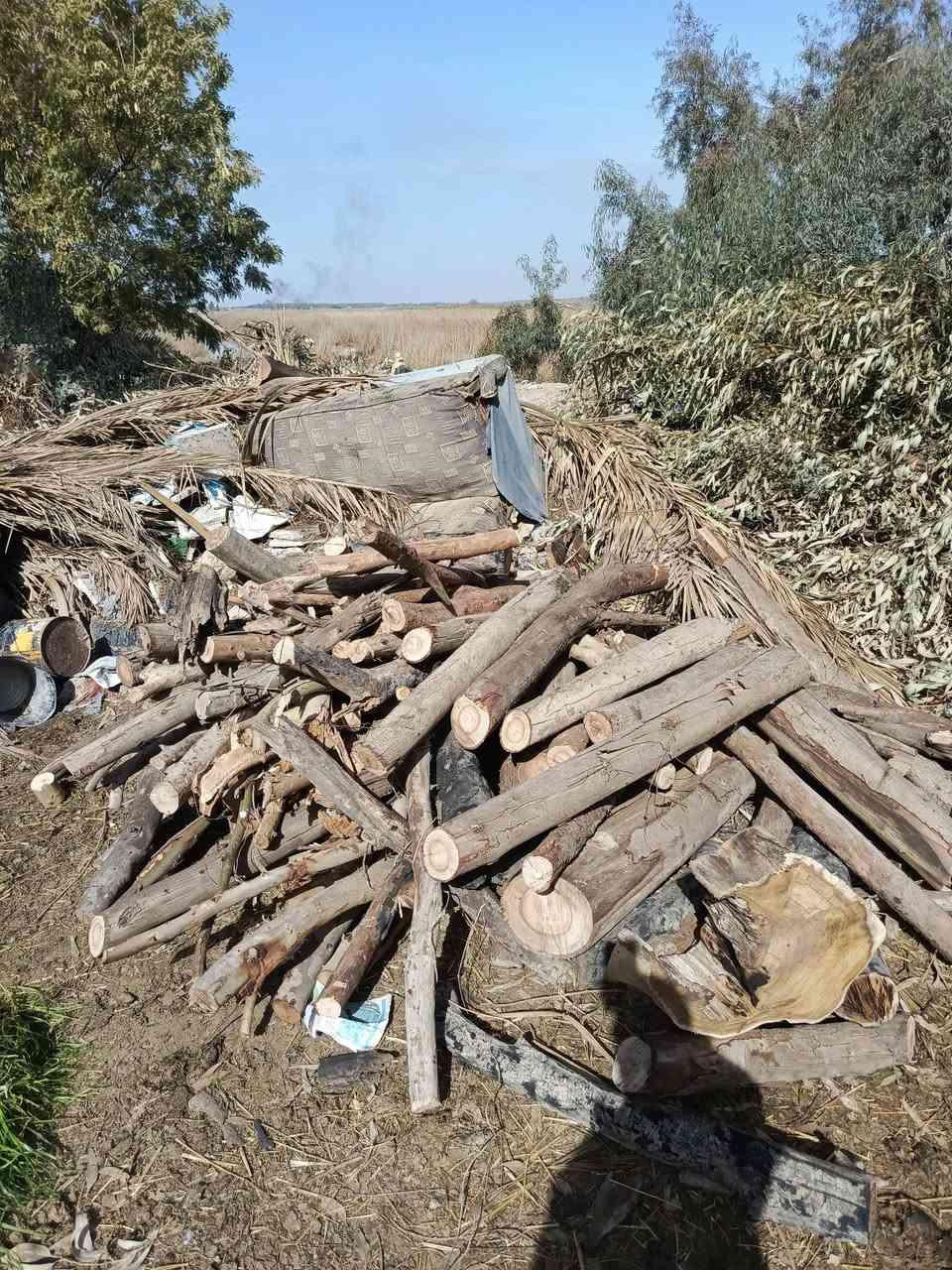 سلام عليكم خشب للبيع نص حمل او أقل ماعرف شوف كدام عينك اخضر ويابس ألسعر 180 .....***********
