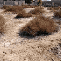 صوب بني ركاب • ٣٥٠م • طريق الشركات