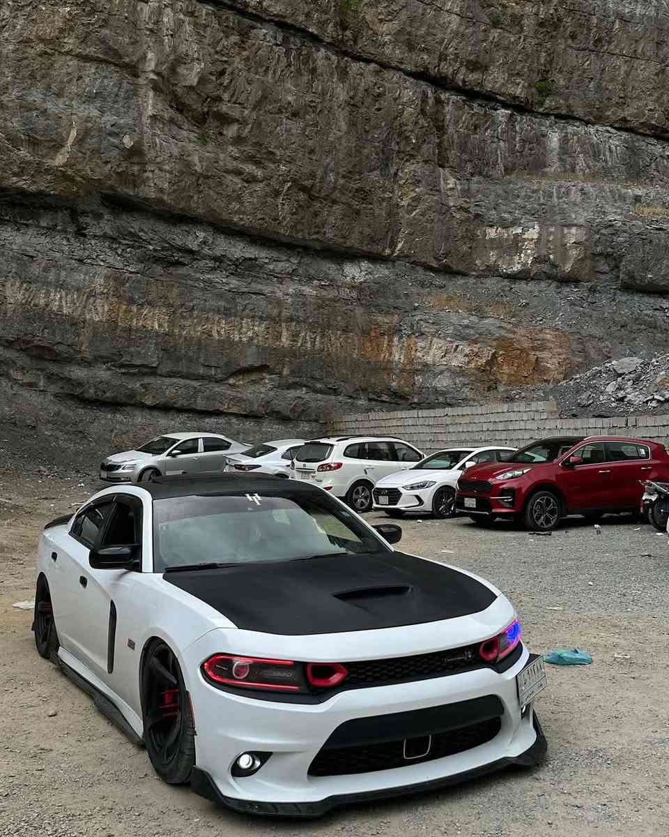 السلام عليكم : سكات باك كفاله حره 17 ماشية 80ml شكو مواصفات بل اس ار تي والسكات بيه فول مواصفات خنك رادار امامي فجوج هيلكات سته بستم تقريرها سرقة دعاميات فقط اكرر بدون صبغ نهائياً بدون معجون لحد يجي يقارنها بلمهجومة لا مستعجل ع البيع ولا شي مترهي كلش سيارتي جديده وكفاله ابيع مرتاح مكانها ديالى بعقوبة
الأضافات : 
دركة RBM الياف حقيقة 
جكات s3 كات باك زيدون 
شوته مفتوحة 
اناره متغيره داخليه 
وهواي ملاعيب بيه بعد 

التواصل على الخط فقط : ***********

السعر 295
