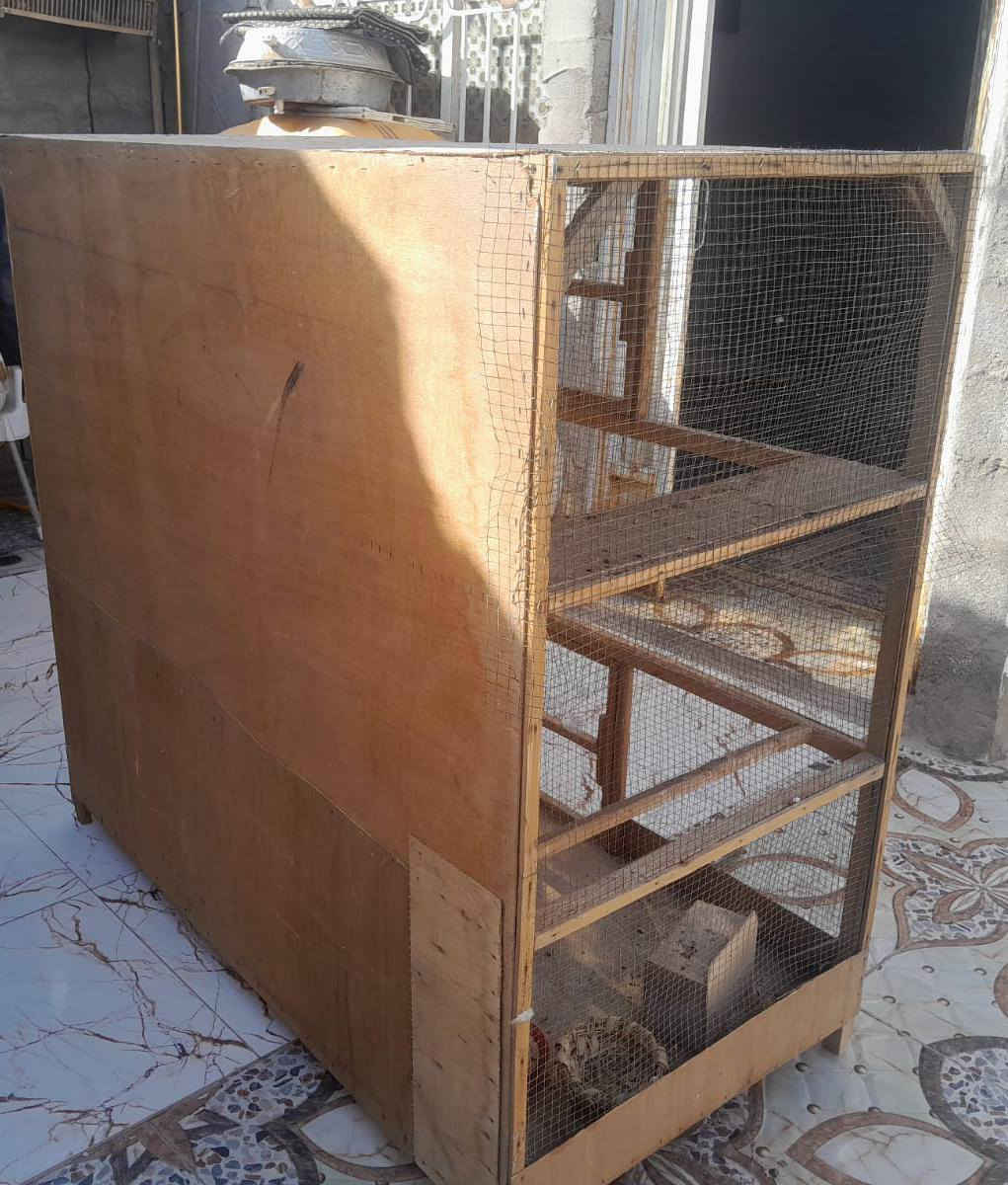 السلام عليكم عندي قفص مال طيور حب عرض ا متر والطول مترتين وسعر القفص 60 ما متواجده على الفيسبوك الشرايد اتصل على الرقم مكلف بالنشر‏‪***********‬‏
