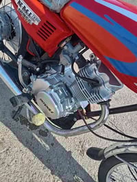 دراجة • مكفولة • بدون أوراق