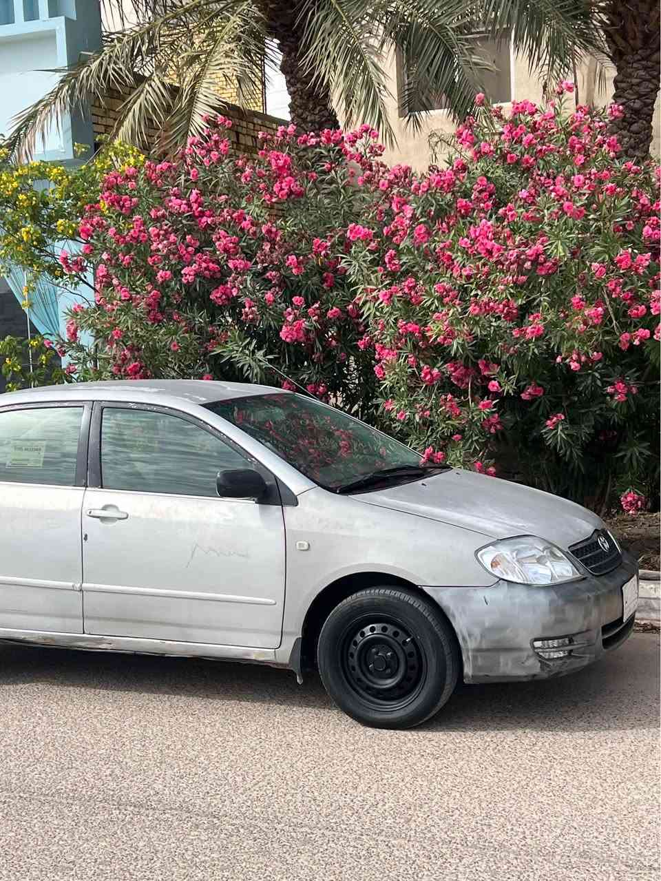 يالله للبيع كورله موديل 2001 جاهزه حداديه تبريد تخم تاير كير مكينه تحتاج فقط صبغ رقم بغداد بسمنه خاليه من العيب الشرعه والضربات القويه مكاني ناصريه مركر السعر 60 وبيه مجال قليل 
اي استفسار *********** ناصرية, ذي قار
