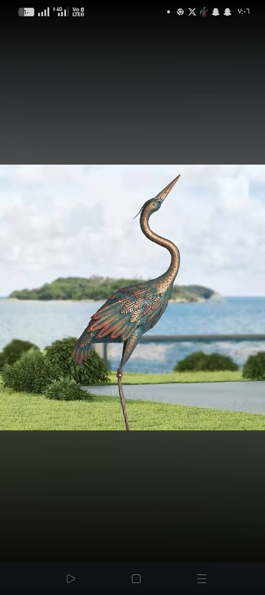 ديكور منازل طواوييس زينه للمنزل زوج واحد


**إذا كنت صاحب هذا الإعلان وتريد حذفه لأي سبب، رجاءا أرسل رسالة إلى الدعم الفني**