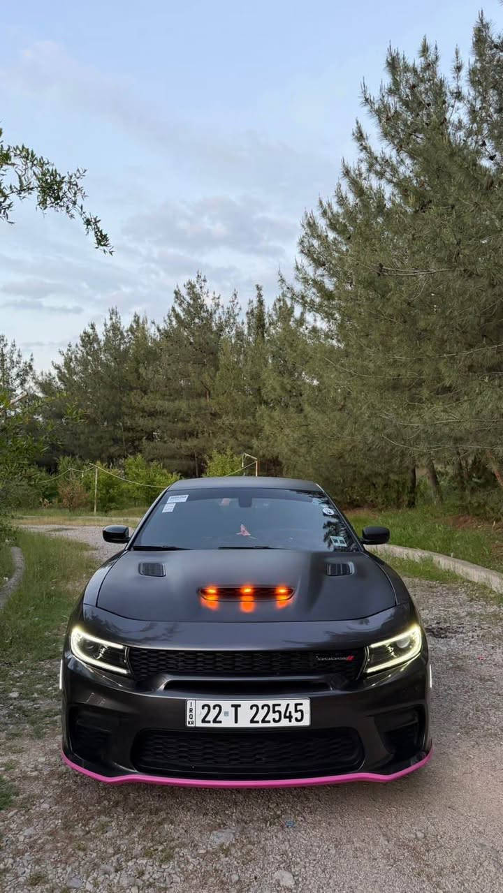 سلام عليكم 
Dodge charger 2023 RT 
بنيد صبغ قطعتين مبدل بيلادي 
سيارة بدون مصرف 
ماشي ٧٠ الف 
مكان اربيل 
سعر ٢٢٥ ورقة مجال
رقم ***********
واتساب موجود أربيل, العراق
