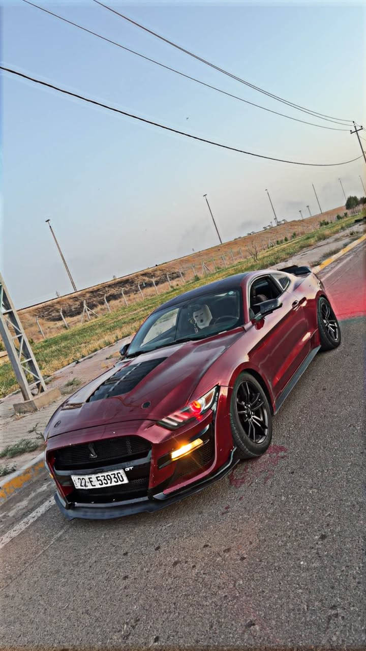 المميز للبيع تم تخفيض السعر 
موستنك 2016 🔥

محرك V6 3700 🚀 المرغوب

كير اوتماتيك  

بنيد شيلبي + دعامية شيلبي  

لون مميز ، عليها اناره داخليه لد متغير الوان 

تبريد ثلج ❄️

رجاء الي ميشوف صور كامل تفاصيل وحادث لايخابرني كلشي موضع بل سونار

 السعر  119$ وبيه مجال

للاتصال *********** كركوك, العراق
