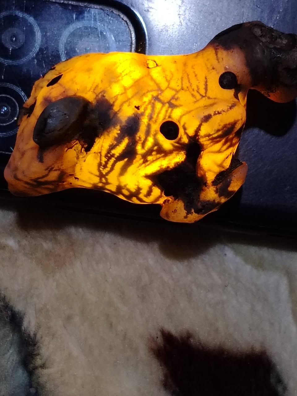 داوودية مصورة فرس 
داخلها عروق واضحة 
25 الف


**إذا كنت صاحب هذا الإعلان وتريد حذفه لأي سبب، رجاءا أرسل رسالة إلى الدعم الفني**