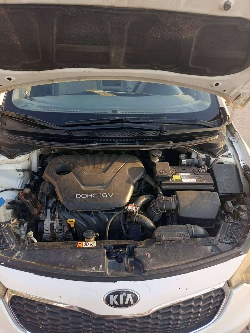 سيراتو خليجي موديل 16 بيه خيط تبخير جاهزة رقم بغداد بسمي تحويل سعر 90


**إذا كنت صاحب هذا الإعلان وتريد حذفه لأي سبب، رجاءا أرسل رسالة إلى الدعم الفني**