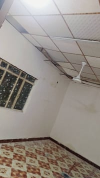 صباغ • طلاس • بصرة